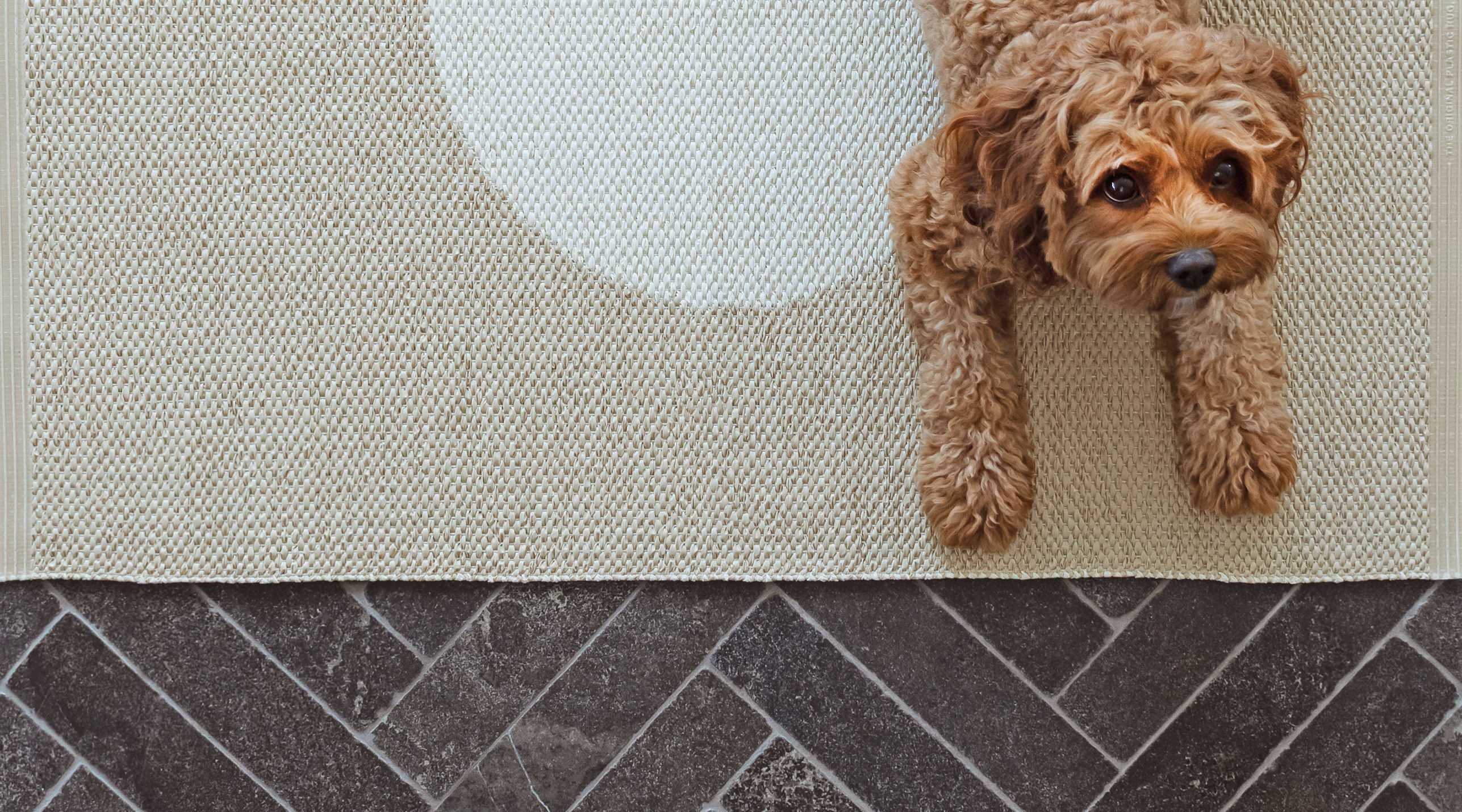 הגודל כן קובע! כך תתאימו את השטיחים לחלל הבית