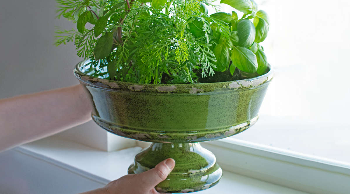 לא כל קערה רוצה להיות סלט