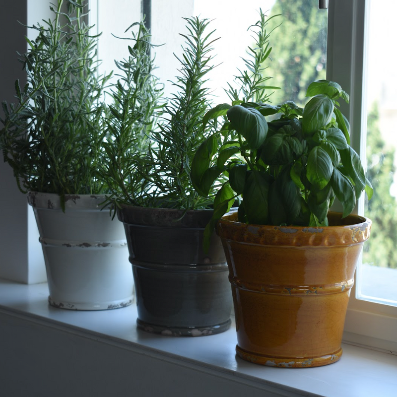 Pompeii Crackle Glaze Planter- 16cm