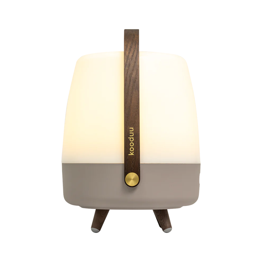 Lite-up Play Mini | SOUND BY JBL | Earth