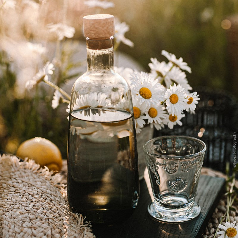 Sea Shell Drinking Glass