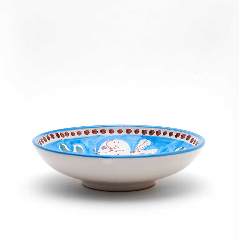 צלחת מרק צבעונית של קמפניה